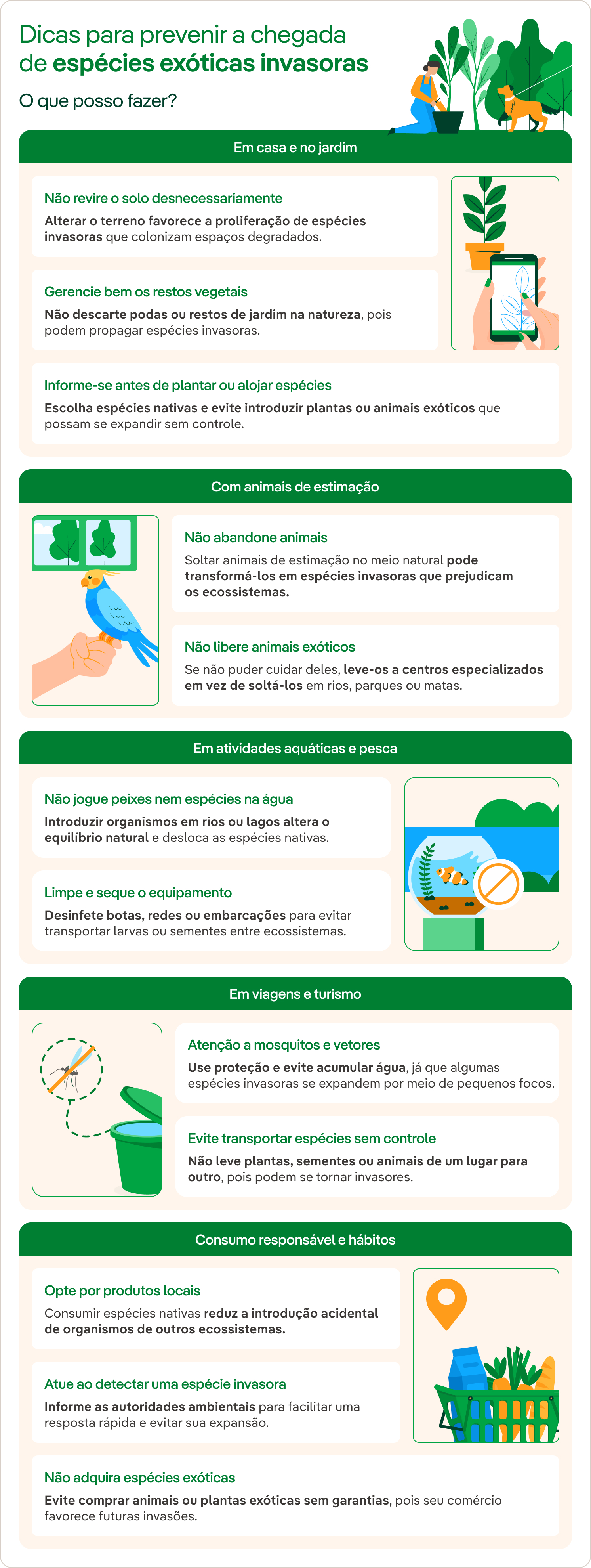 recomendações