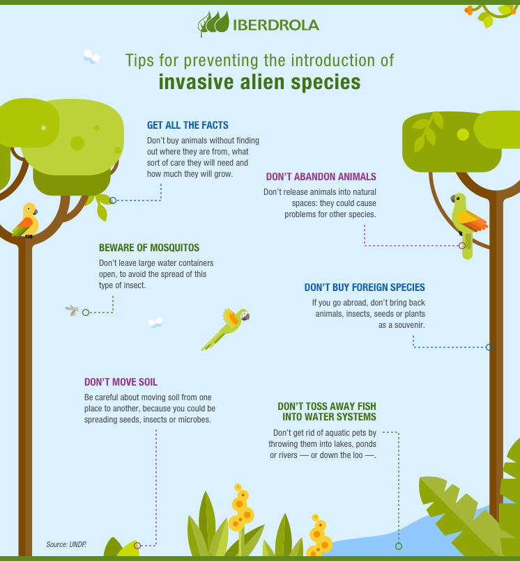 Invasive Alien Species: what they are and how they affect - Iberdrola -  Iberdrola