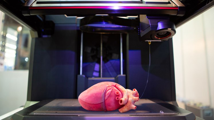 4D-printed heart.