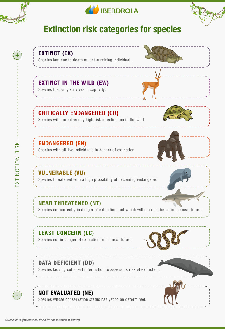 Extinction risk categories for species.