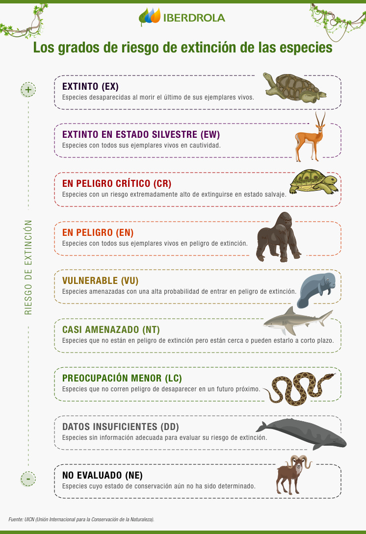Los grados de riesgo de extinción de las especies.