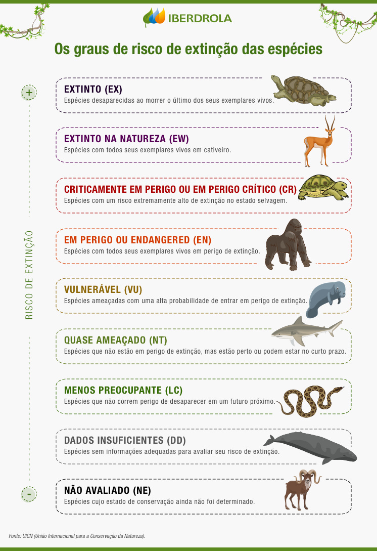 Os graus de risco de extinção das espécies.