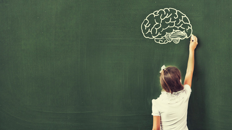 Motivation and challenges are able to activate certain areas of the brain that help in the learning process.