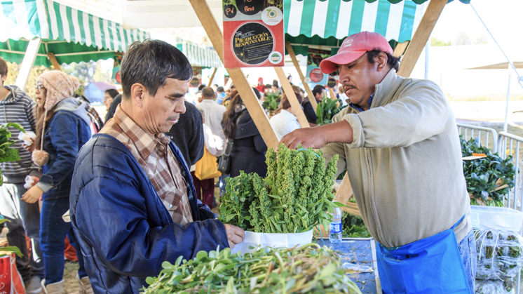 A iniciativa promove o comércio justo: os produtos frescos são cultivados por agricultores locais. Foto: SEDEMA