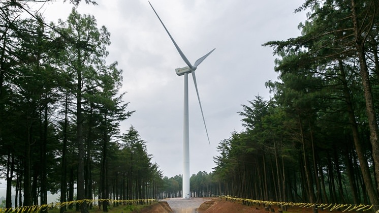 Pier II Wind farm (Mexico).