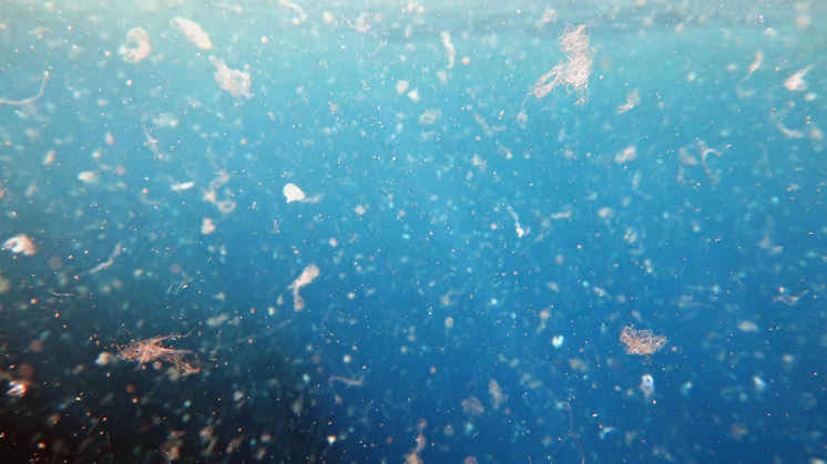Detalhe da água do mar contaminada por microplásticos.