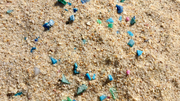 Small fragments of plastic scattered among the sand on a beach.