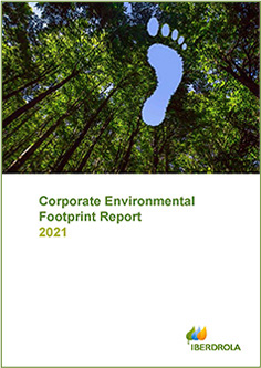 Corporate Environmental Footprint Report 2021