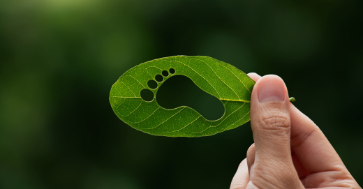 Photo inspiration: Gallery Detail: What Is A Carbon Footprint Take Action To Reduce Yours
