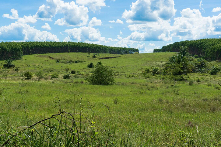 Proyecto Muçunga en Brasil