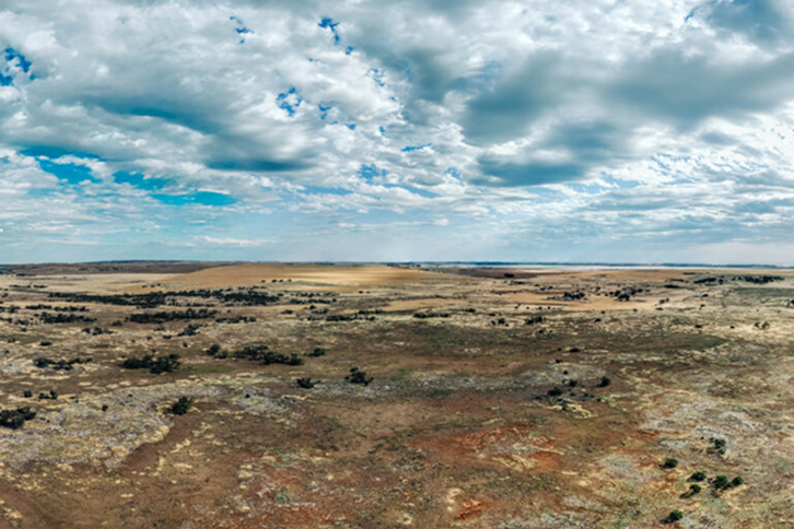 Proyecto Talia en Australia