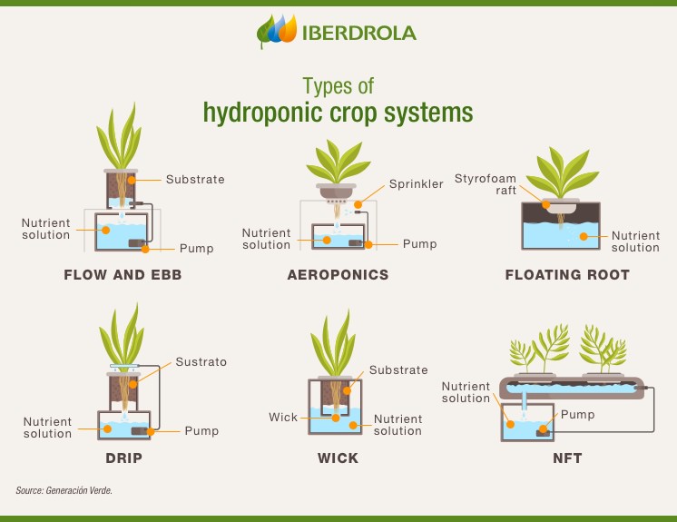 Hydroponics and Sustainability