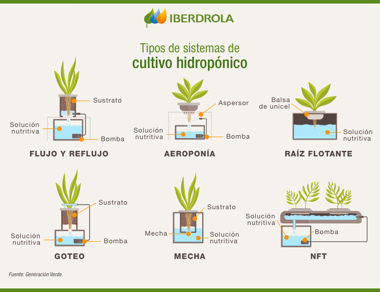 cultivo hidropónico