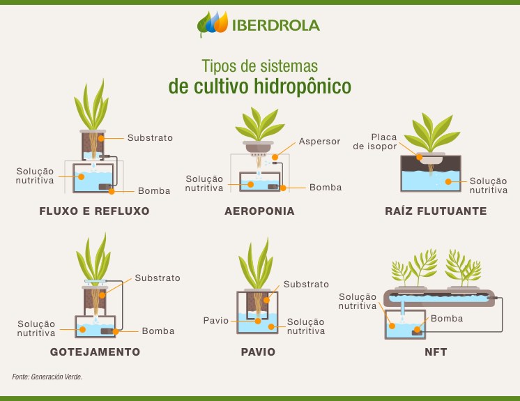 cultivo hidropônico