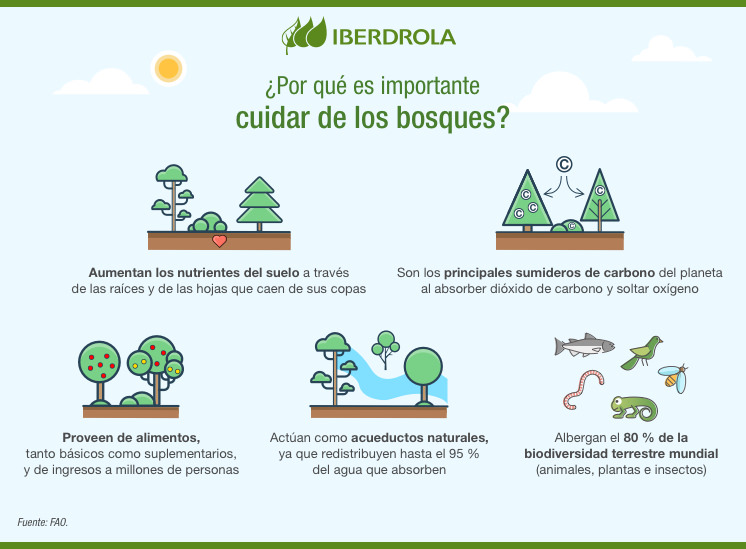 Bosques