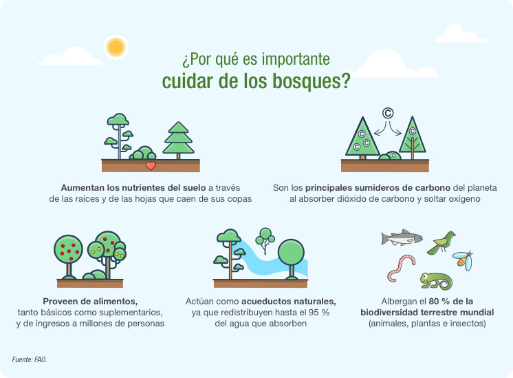 Bosques