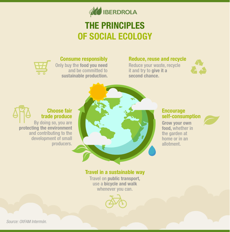 The principles of social ecology.
