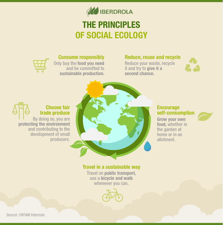 https://www.iberdrola.com/documents/20125/40603/principios_ecologia_social_ENG.jpg/97aefa81-a7d4-2d7b-9d80-e64ac04e61fe?t=1627469430208