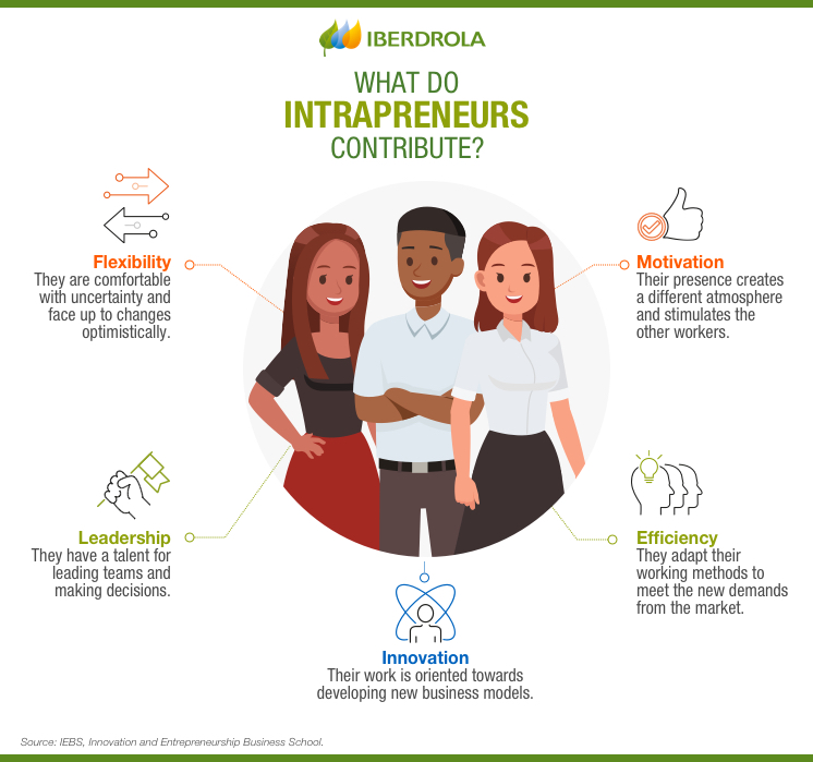 What do intrapreneurs contribute?