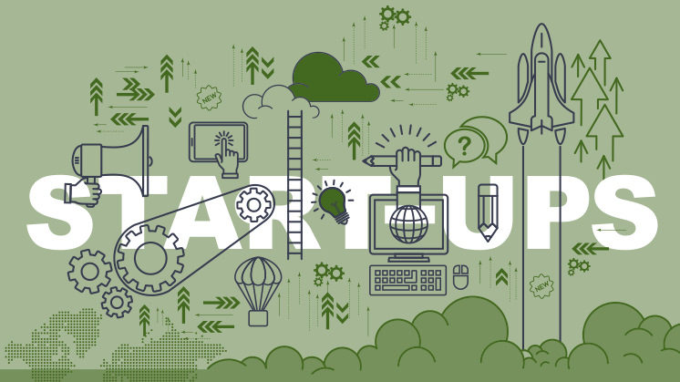 What are startups or emerging companies and how do they work? - Iberdrola
