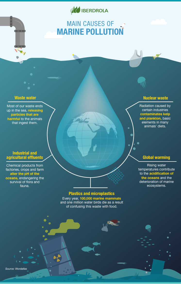 Main causes of marine pollution.