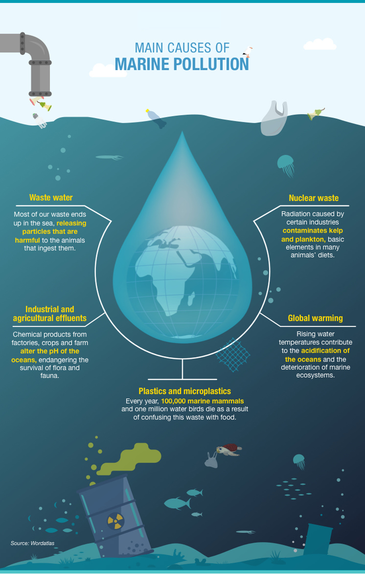 Main causes of marine pollution.