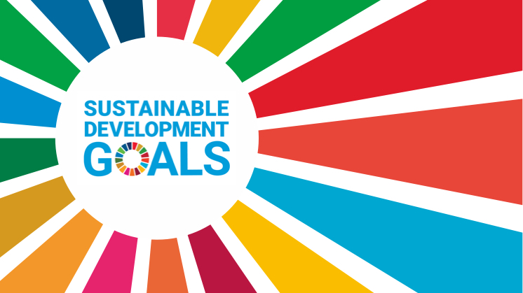Why Sustainable Development Goals &#8211; GGHS