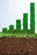 Green recovery.