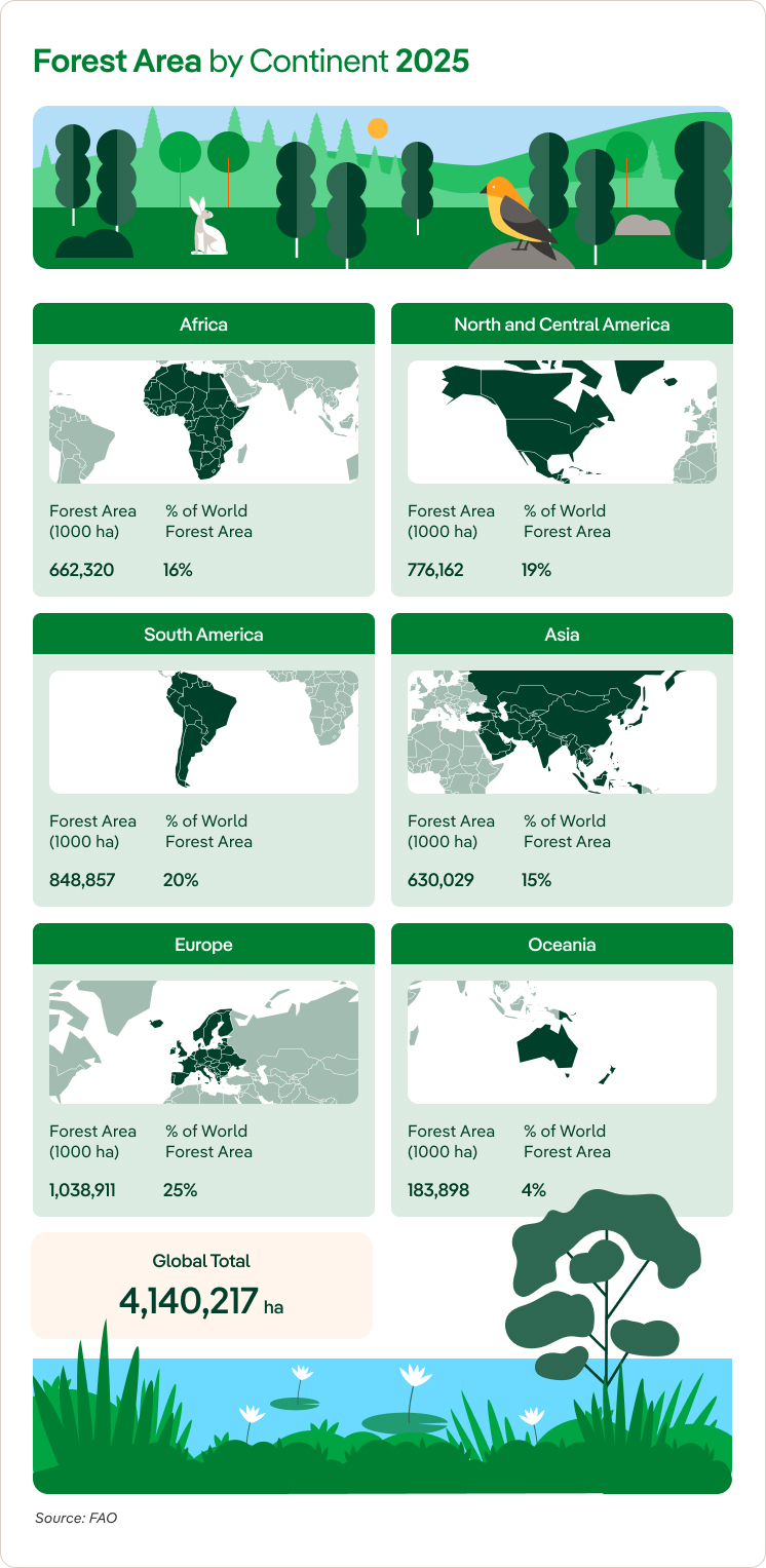 Evolution_Planet_Forest