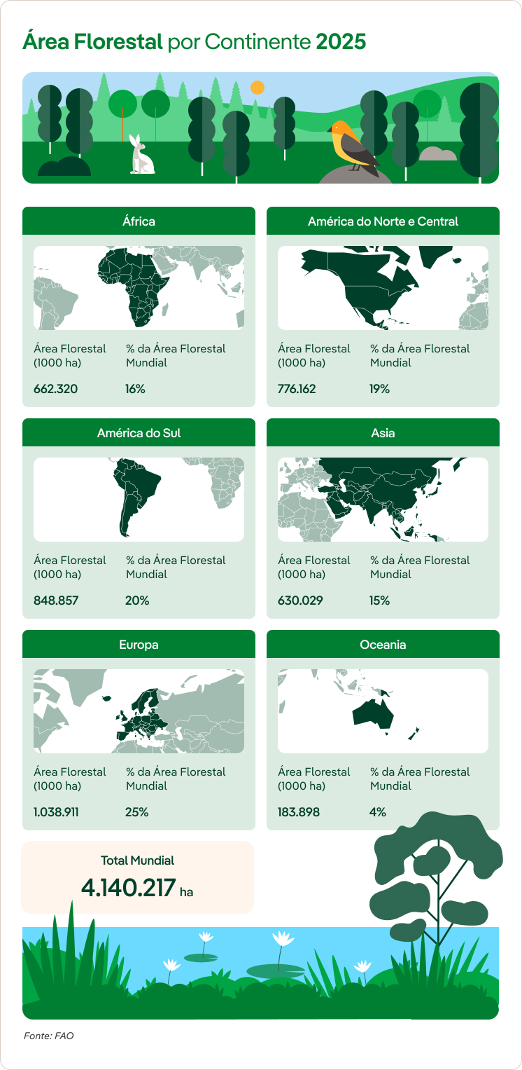 Evolucao_Superficie_Floresta