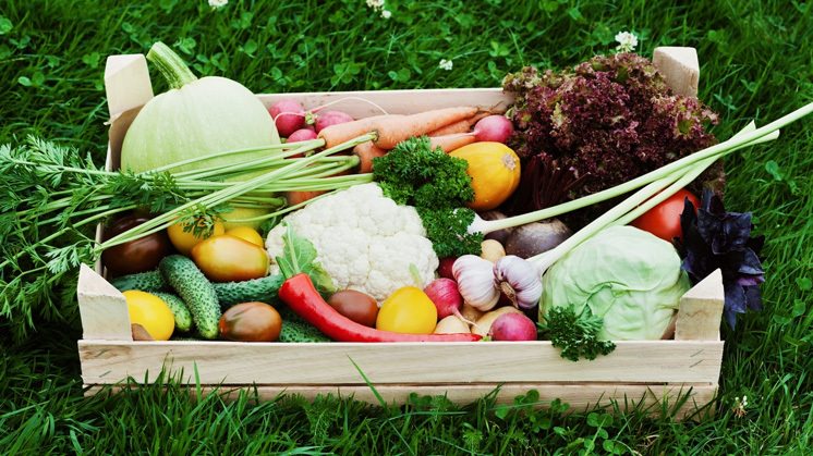 Organic products shopping basket.