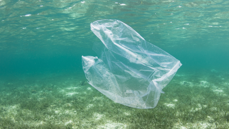 Plastic islands.