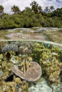 Ecosistemas naturales.