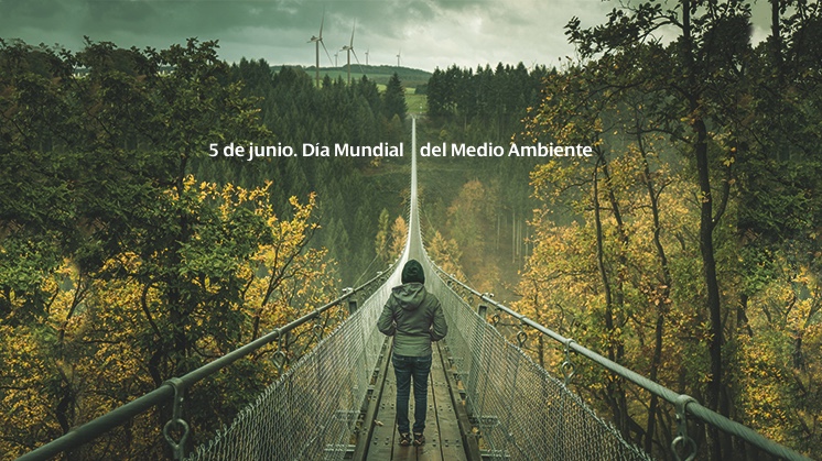 Día Mundial