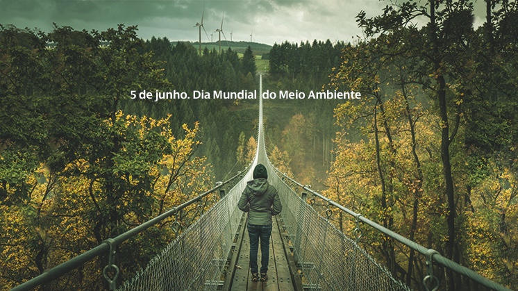 DIA MUNDIAL DO MEIO AMBIENTE