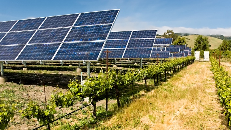 Plantas fotovoltaicas en actividades agrícolas.