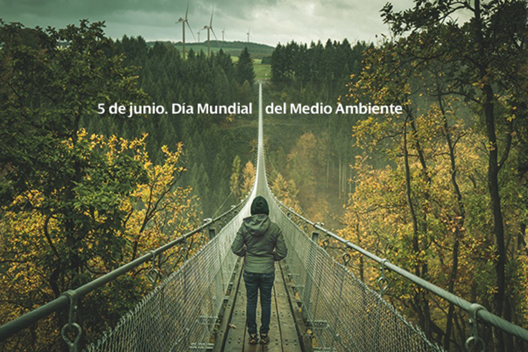 Dia Mundial Medio Ambiente