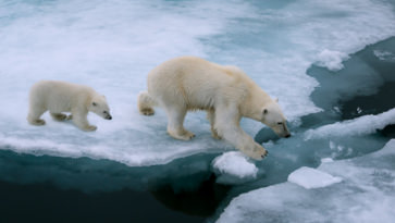 PÓDCASTS SOBRE CAMBIO CLIMÁTICO 