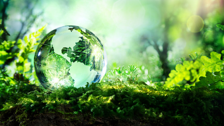 El European Green Deal lucha contra el cambio climático proponiendo una profunda transformación del sistema económico.