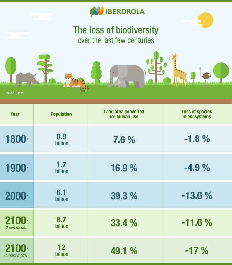 Perdida Biodiversidad