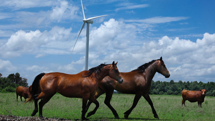 Amazon Wind Farm US East (North Carolina, U.S.A.).