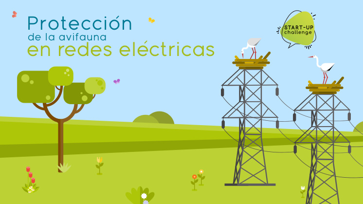 Protección de la avifauna en redes eléctricas.