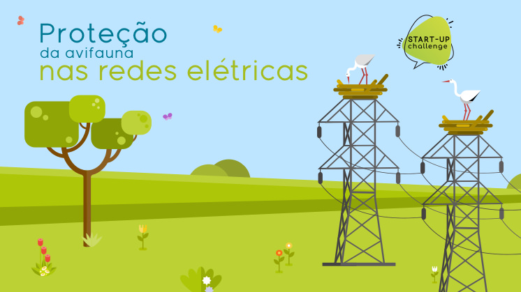 Start-up Challenge Proteção da avifauna em redes elétricas.