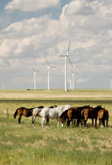 Blog We Love Renewables