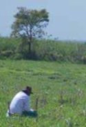 Por su parte, su filial brasileña, Neoenergia*, llevó a cabo la plantación de más de 540.000 árboles, especialmente para la creación de áreas de Preservación Permanente en el entorno de las centrales hidroeléctricas. Además, sus distribuidoras reforestaron más de 75 hectáreas con cerca de 95.000 árboles y otras plantas nativas de la región.