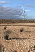 Iberdrola ha sembrado 3.600 plantones de árboles y arbustos en el entorno del aparcamiento anexo al Campus Iberdrola, en Madrid, ha impulsado la plantación de 17.000 árboles en Chinchilla (Albacete) y ha promovido diversas iniciativas de voluntariado que han permitido plantar 7.690 árboles.