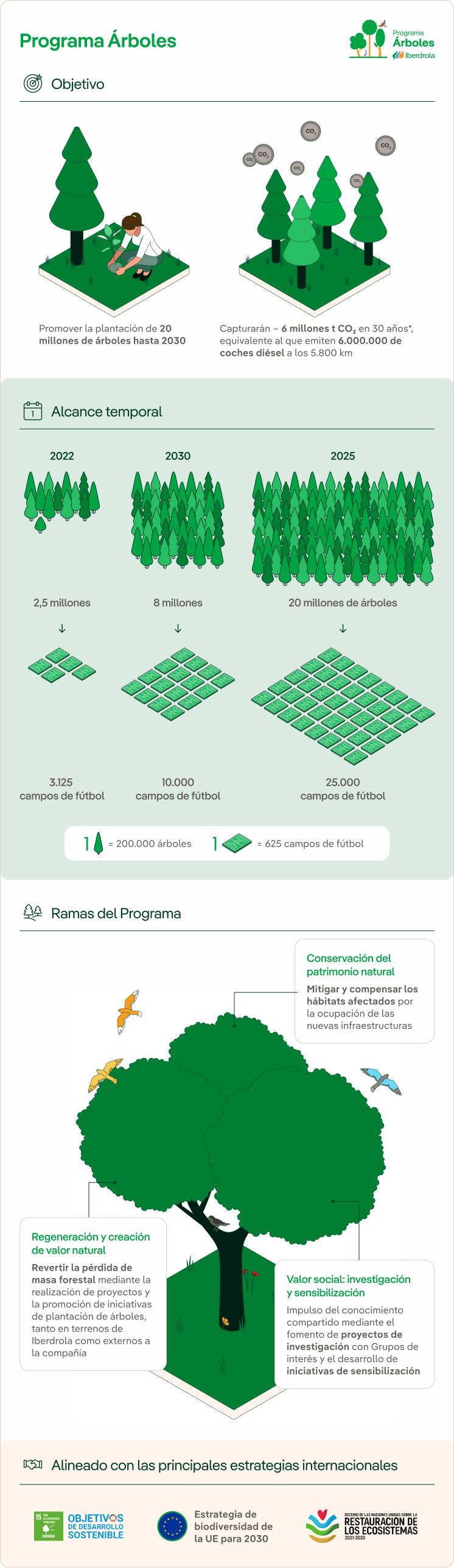 Programa Árboles de Iberdrola.