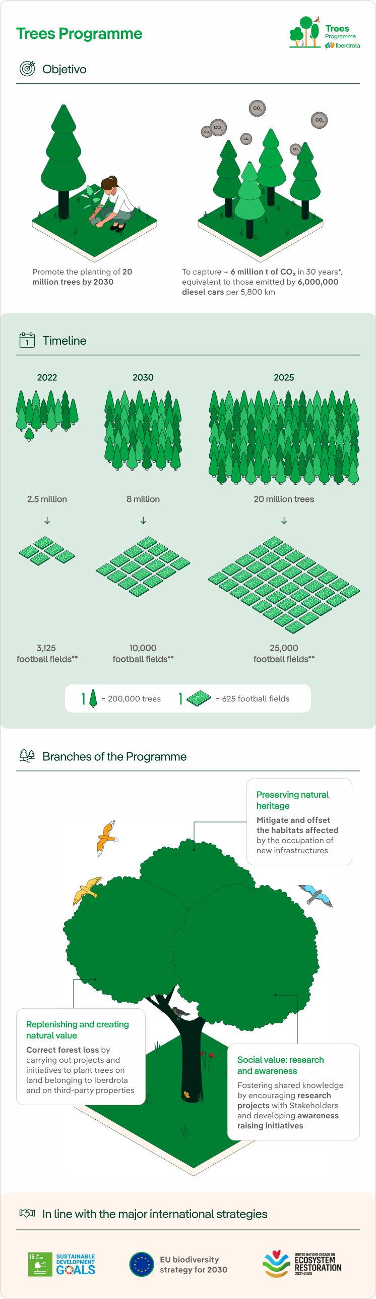 Iberdrola's Trees programme.