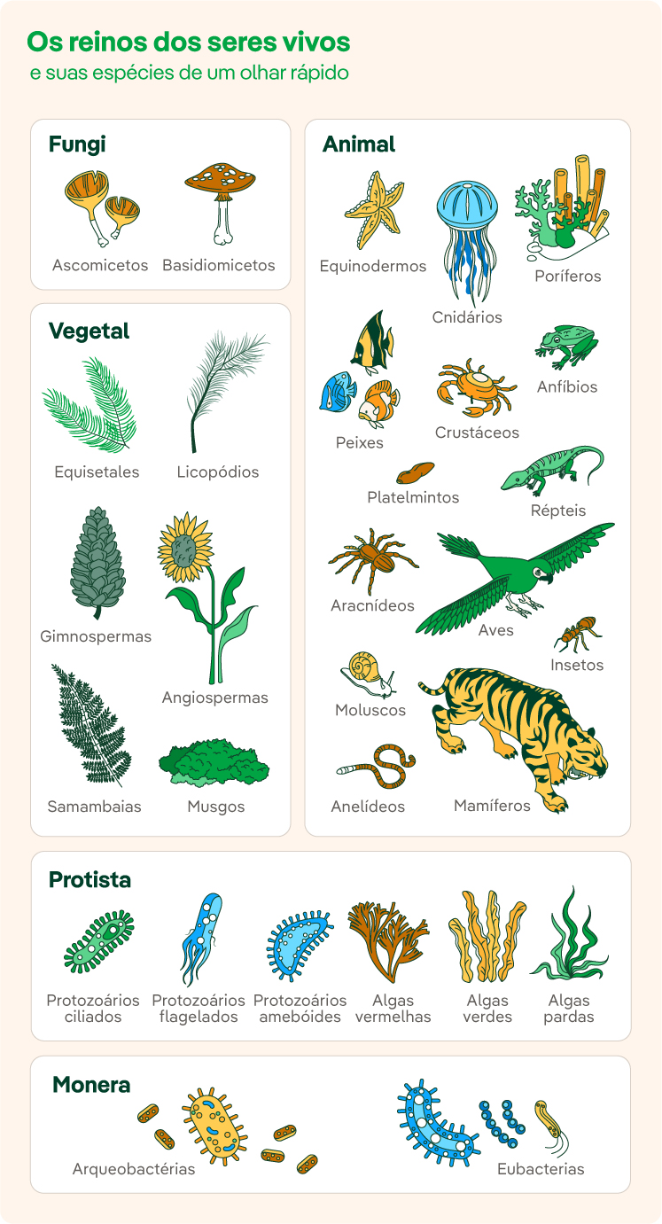 Infografico_Seres_Vivos