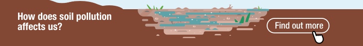 How does soil pollution affects us?
